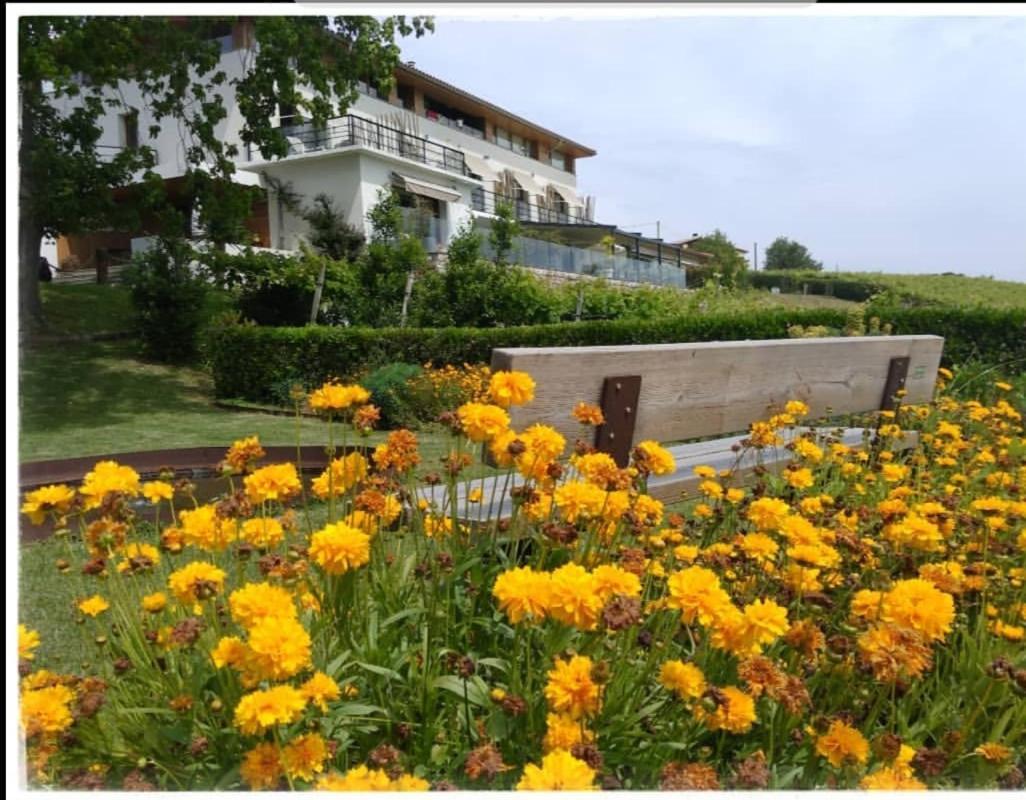 Hotel San Prudentzio Getaria Eksteriør billede
